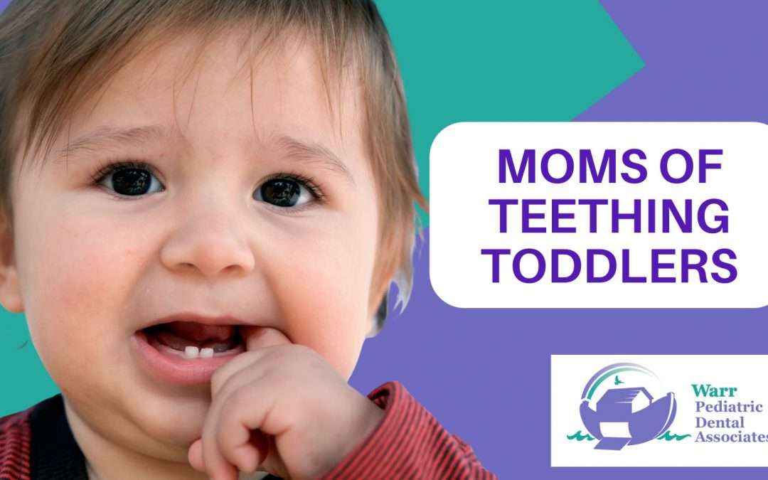 The Children’s Tooth: A Timeline of Development and Care