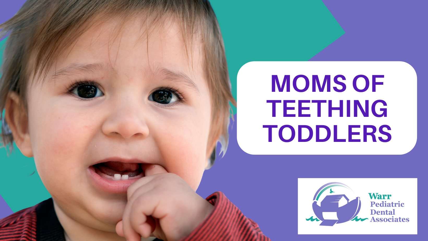 Teething toddlers group Modern dental office interior